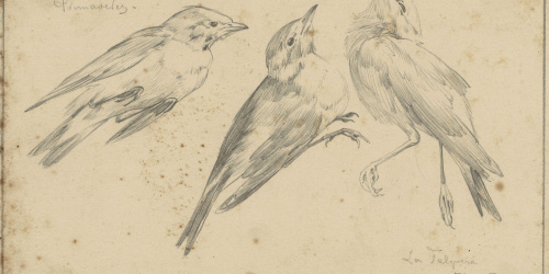 image for: Alexandre de Riquer - Ocells (Primaveres) - 1895