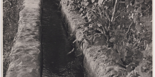 image for: Otho Lloyd - Jardí de la casa del Putxet (Barcelona) - Cap a 1945-1948