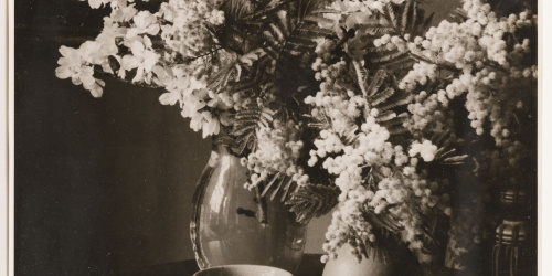 image for: Otho Lloyd - Natura morta - Cap a 1944-1950