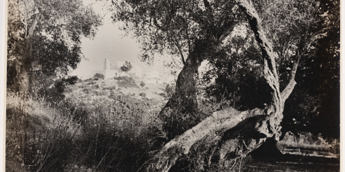 image for: Otho Lloyd - Paisatge - Cap a 1944-1950