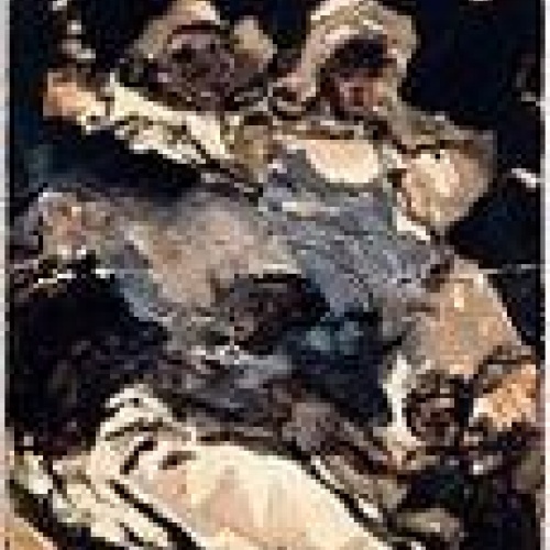 PROPERA INAUGURACIÓ DE L&#039;EXPOSICIÓ &#039;L&#039;IMAGINARI D&#039;EUGENIO LUCAS. La influència de Goya a la poètica romàntica&#039;