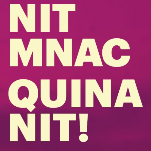 Obrim el Museu de nit