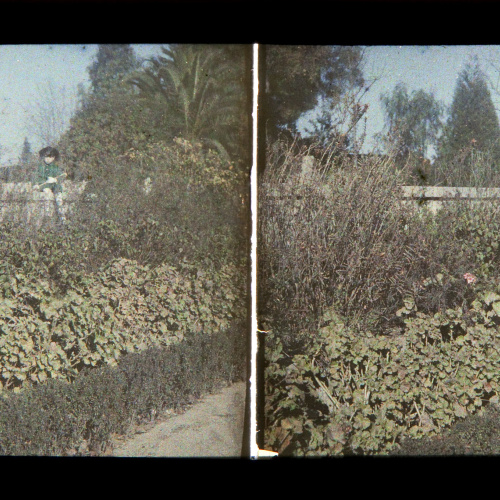 image for: Francesc Carrera Bou - Nena en un jardí - Cap a 1926