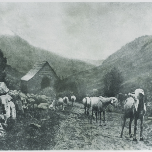 image for: Josep Maria Casals i Ariet - Ramat de bens (Vall d&#039;Aran) - No datat