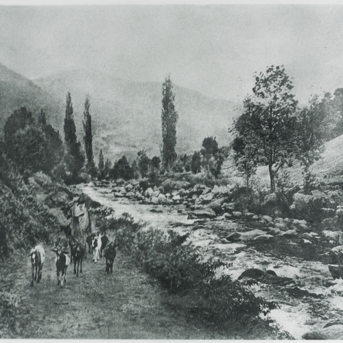 image for: Josep Maria Casals i Ariet - Paisatge amb riu, pastor i cabres - No datat