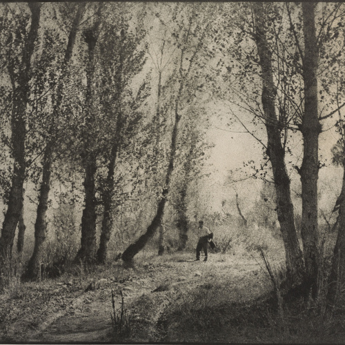 image for: Josep Maria Casals i Ariet - Paisatge amb home - No datat