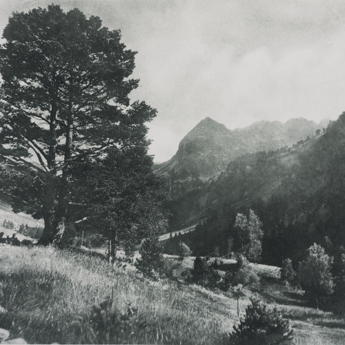 Josep Maria Casals i Ariet - Paisatge - No datat image for: Josep Maria Casals i Ariet - Paisatge - No datat