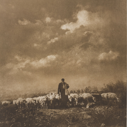 image for: Josep Maria Casals i Ariet - Pastor amb ramat de bens - No datat