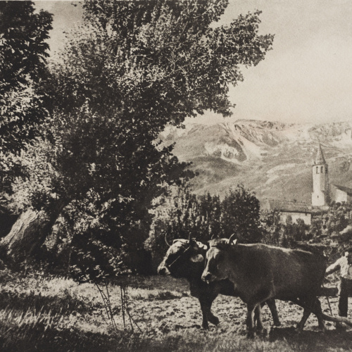 Josep Maria Casals i Ariet - Paisatge amb home llaurant - No datat image for: Josep Maria Casals i Ariet - Paisatge amb home llaurant - No datat