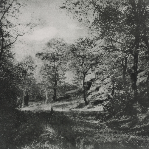 image for: Josep Maria Casals i Ariet - Paisatge - No datat