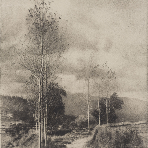 image for: Josep Maria Casals i Ariet - Paisatge - No datat