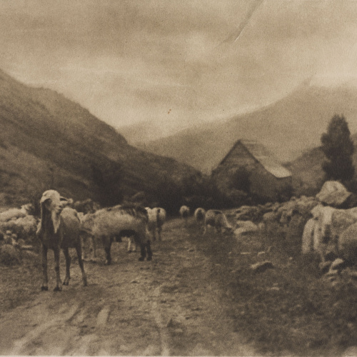 image for: Josep Maria Casals i Ariet - Camí de poble amb ramat - No datat