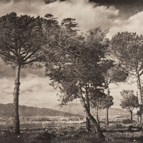 image for: Josep Maria Casals i Ariet - Paisatge - Cap a 1930-1950