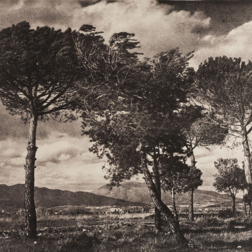 image for: Josep Maria Casals i Ariet - Paisatge - Cap a 1930-1950