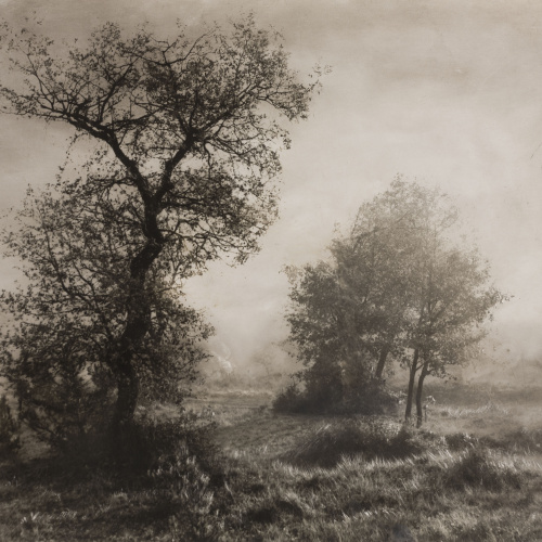 image for: Josep Maria Casals i Ariet - Paisatge - Cap a 1930-1950