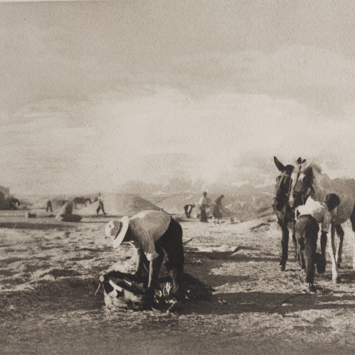 image for: Josep Maria Casals i Ariet - Medinaceli - Cap a 1950