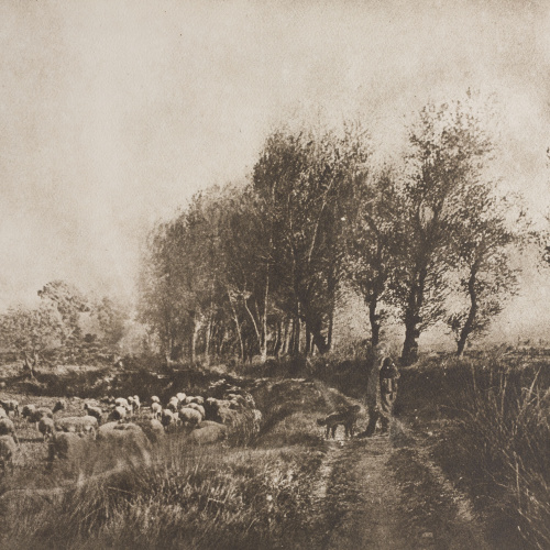 image for: Josep Maria Casals i Ariet - Paisatge amb pastor i ramat de bens - Cap a 1930-1950