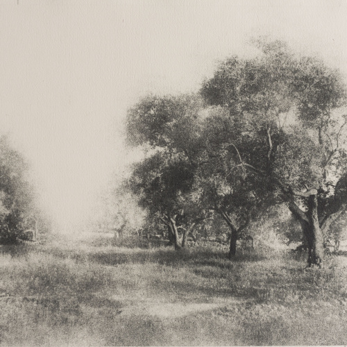 image for: Josep Maria Casals i Ariet - Paisatge - Cap a 1930-1950