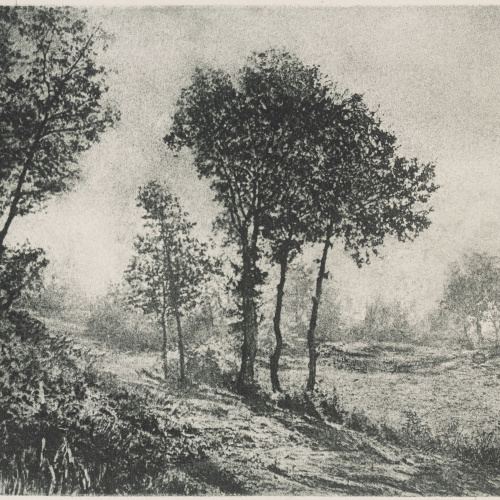 image for: Josep Maria Casals i Ariet - Paisatge - No datat