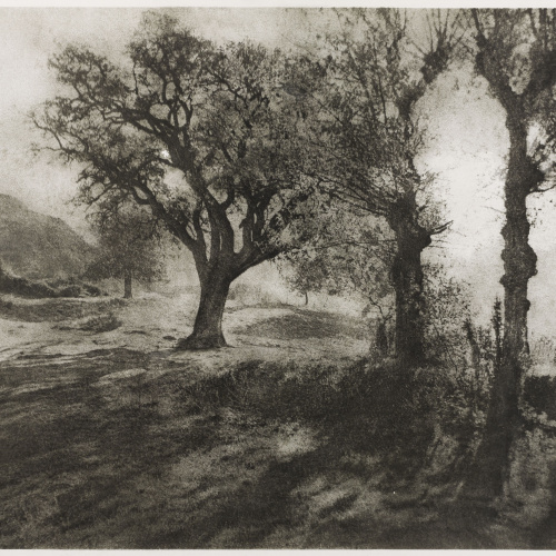 image for: Josep Maria Casals i Ariet - Paisatge - No datat