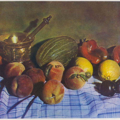 image for: Josep Maria Casals i Ariet - Natura morta amb morter, meló, pomes i préssecs - Cap a 1960 (?)