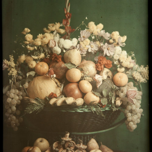 image for: Francesc Carrera Bou - Natura morta amb fruita, flors i bolets - Cap a 1922-1926