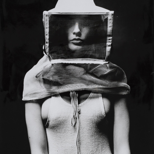 image for: Oriol Maspons - Janette, caçadora d&#039;abelles - 1967