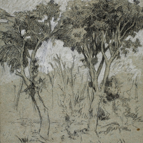 image for: Ramon Martí i Alsina - Vilamajor (estudi de dos arbres) - 1870