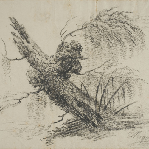 image for: Lluís Rigalt - Estudi d&#039;arbre - Cap a 1840-1850