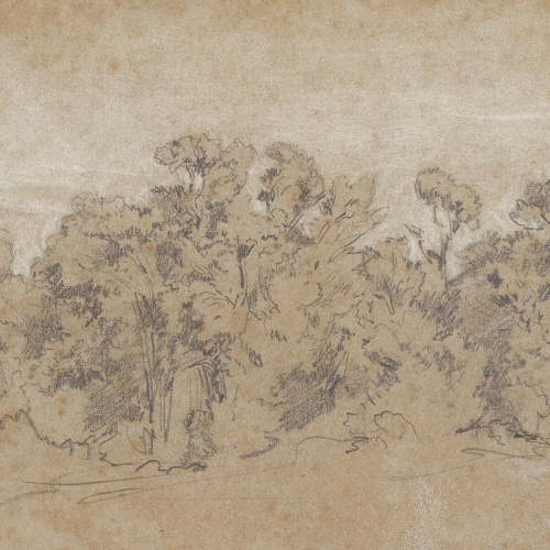 image for: Ramon Martí i Alsina - Grup d&#039;arbres i matolls - Cap a 1865-1870