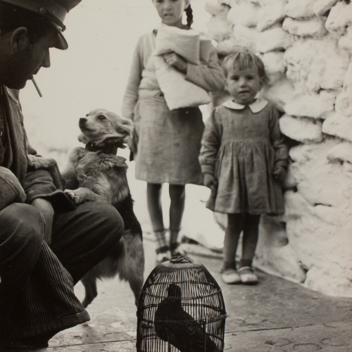 image for: Oriol Maspons - Fotografia per al llibre «La caza de la perdiz roja», de Miguel Delibes - 1962