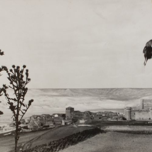 image for: Oriol Maspons - Fotografia per al llibre «La caza de la perdiz roja», de Miguel Delibes - 1962
