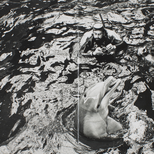 image for: Oriol Maspons - Oriol Maspons i Julio Ubiña en un delfinari (Nadala) - 1965