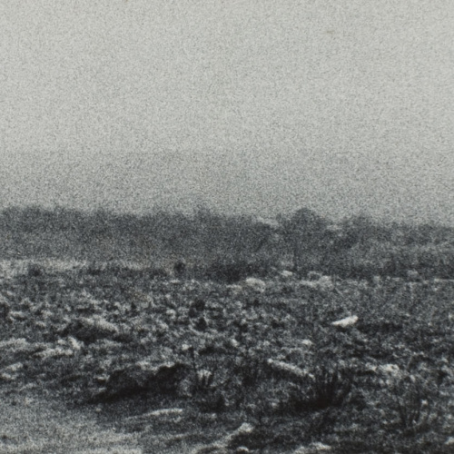 image for: Oriol Maspons - Fotografia per al llibre «La caza de la perdiz roja», de Miguel Delibes - 1962