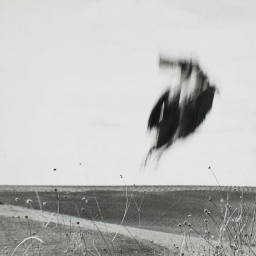 image for: Oriol Maspons - Fotografia per al llibre «La caza de la perdiz roja», de Miguel Delibes - 1962