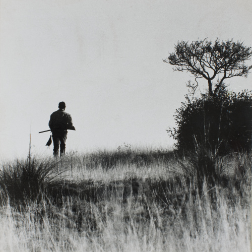 image for: Oriol Maspons - Fotografia per al llibre «La caza de la perdiz roja», de Miguel Delibes - 1962
