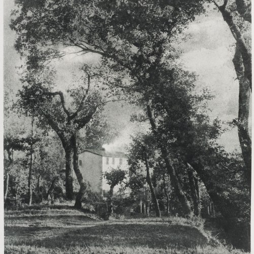 image for: Josep Maria Casals i Ariet - Paisatge - No datat