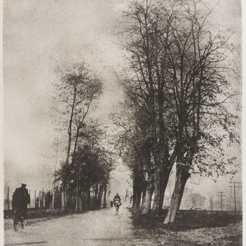 image for: Josep Maria Casals i Ariet - Paisatge - No datat