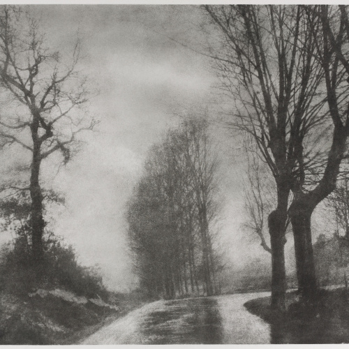 image for: Josep Maria Casals i Ariet - Paisatge - No datat