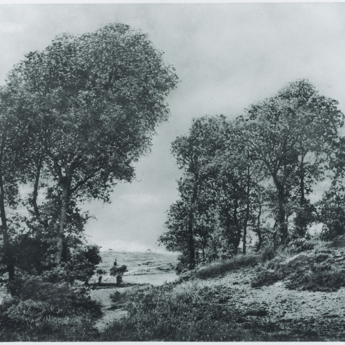 image for: Josep Maria Casals i Ariet - Paisatge - No datat