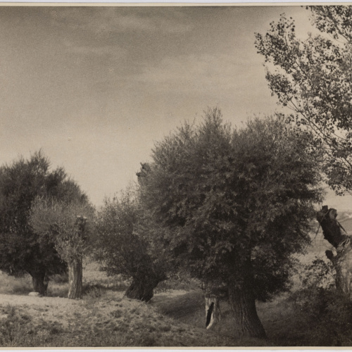 image for: Otho Lloyd - Paisatge - Cap a 1946