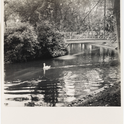 image for: Otho Lloyd - Paisatge - Cap a 1948