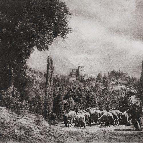 image for: Josep Maria Casals i Ariet - Paisatge amb pastor i ramat - Cap a 1935