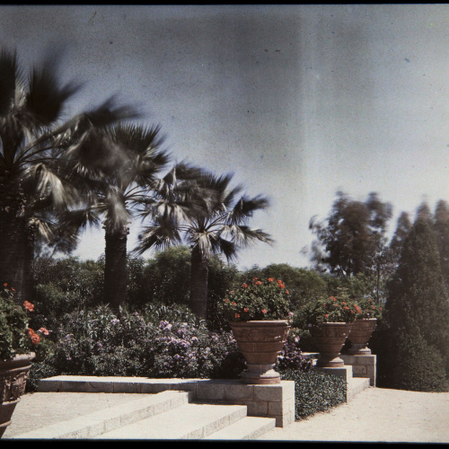 image for: Francesc Carrera Bou - Jardí - Cap a 1926