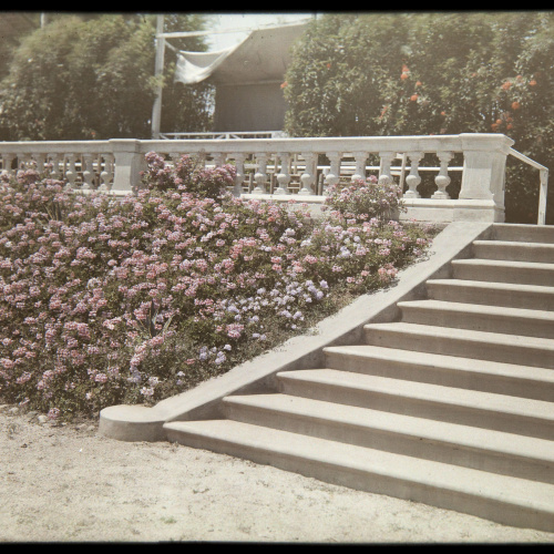 image for: Francesc Carrera Bou - Parterre del Reial Polo Jòquei Club (Barcelona) - Cap a 1926