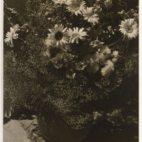 image for: Otho Lloyd - Natura morta - Cap a 1944-1950