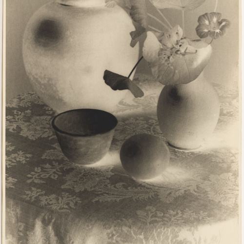 image for: Otho Lloyd - Natura morta - Cap a 1944-1950