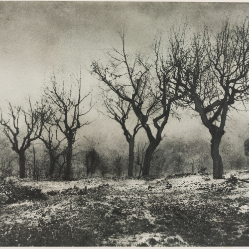 image for: Josep Maria Casals i Ariet - Paisatge - No datat