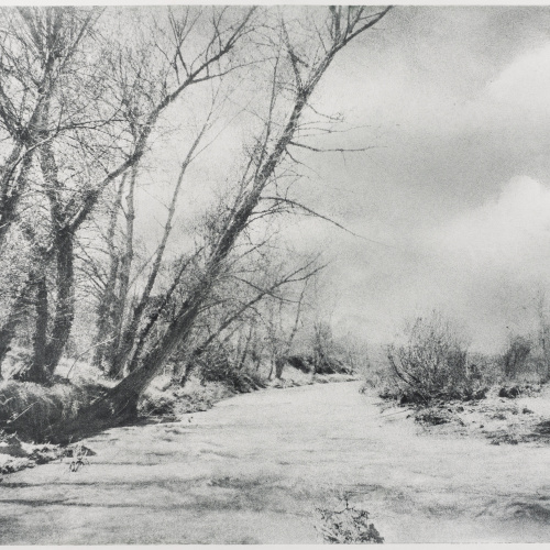 image for: Josep Maria Casals i Ariet - Paisatge - No datat