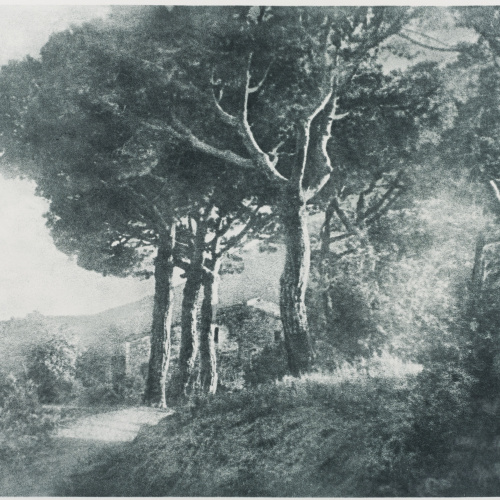 image for: Josep Maria Casals i Ariet - Paisatge - No datat